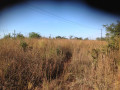 36m-by-40m-plot-for-sale-in-lilayi-small-2