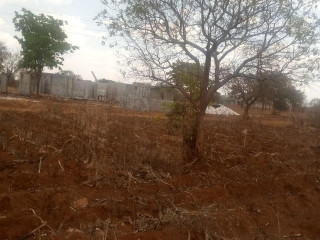 1 Acre Plot For Sale In New Kasama