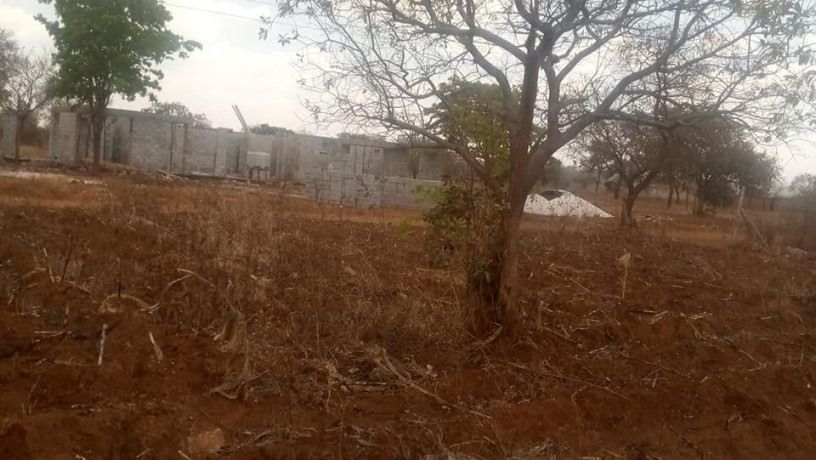 1-acre-plot-for-sale-in-new-kasama-big-7