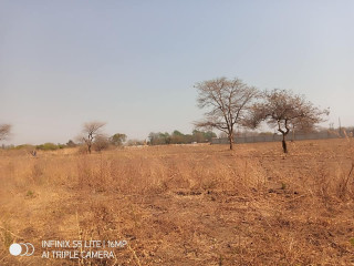 Plot for Sale in Makeni Bonaventure