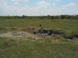 Farm Land for Sale