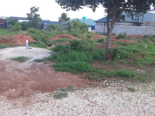 30m by 20m Plot For Sale In Ibex Meanwood