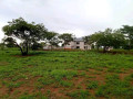 40m-by-50m-plot-for-sale-in-lilayi-estates-small-0