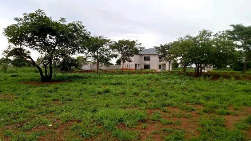 40m-by-50m-plot-for-sale-in-lilayi-estates-big-0