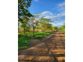 plots-for-sale-in-new-kasama-small-0