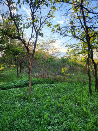 plots-for-sale-in-new-kasama-big-2