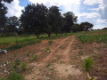 15-acres-land-for-sale-in-makeni-bonaventure-small-3