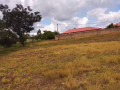 15-acres-land-for-sale-in-makeni-bonaventure-small-4