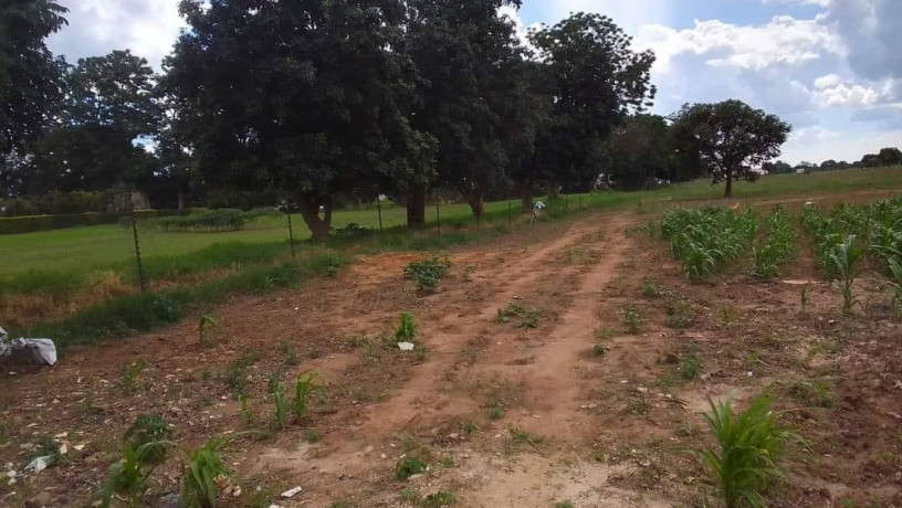 15-acres-land-for-sale-in-makeni-bonaventure-big-3