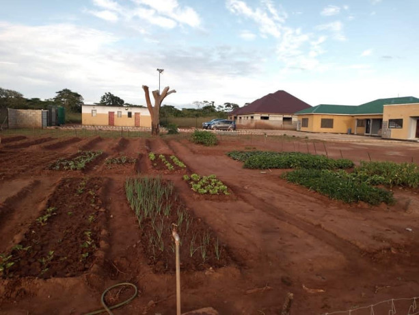 4-bedroom-house-for-sale-in-new-kasama-big-7