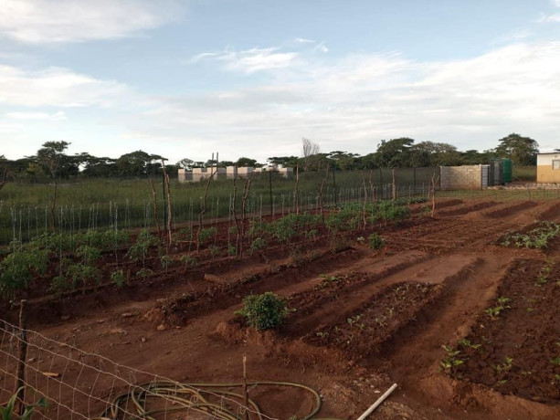 4-bedroom-house-for-sale-in-new-kasama-big-5