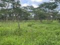 1-acre-land-for-sale-in-new-kasama-small-0