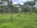 1-acre-land-for-sale-in-new-kasama-small-3