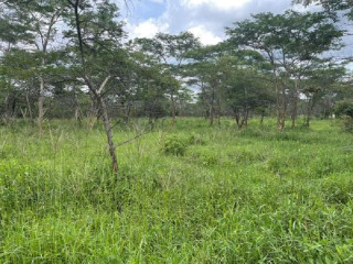 1 Acre Land For Sale in New Kasama