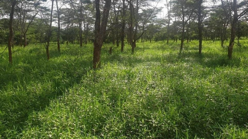 1-acre-land-for-sale-in-new-kasama-big-2