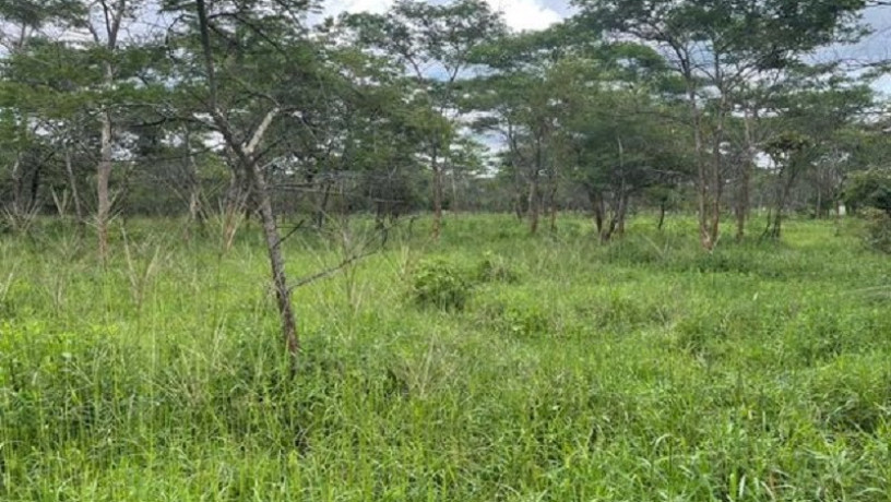 1-acre-land-for-sale-in-new-kasama-big-0