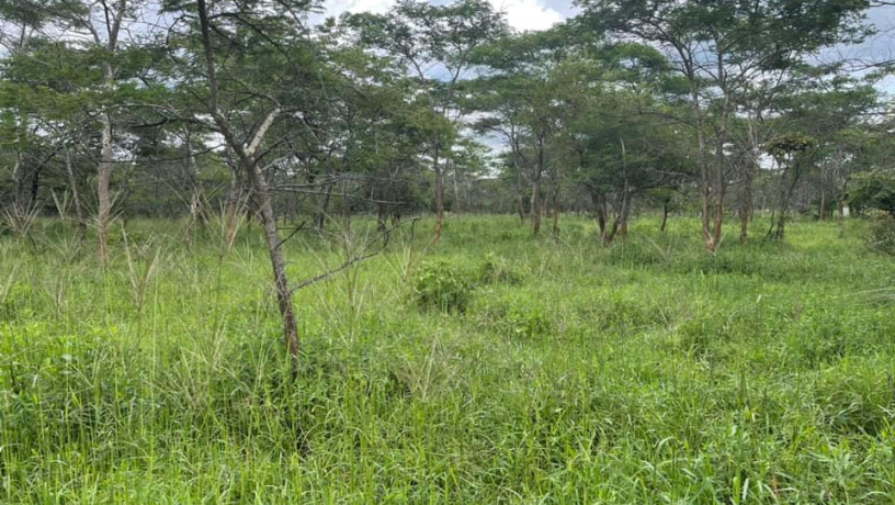 1-acre-land-for-sale-in-new-kasama-big-3