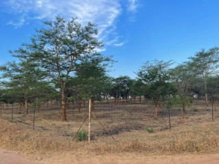 5-acres-land-for-sale-in-lilayi