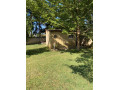 4-bedroom-house-for-rent-in-eureka-park-small-0