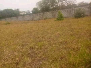 Plot for Sale in New Kasama