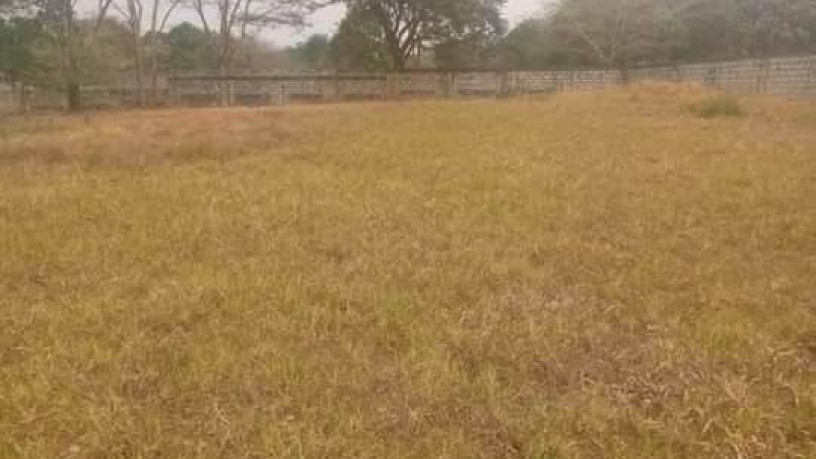 plot-for-sale-in-new-kasama-big-4