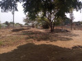 commercial-plot-for-sale-in-kabwata-small-2