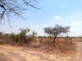 5-acres-plot-for-sale-in-lusaka-west-small-5