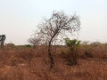 5-acres-plot-for-sale-in-lusaka-west-small-0