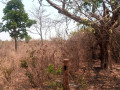 5-acres-plot-for-sale-in-lusaka-west-small-3