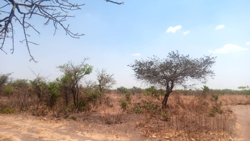 5-acres-plot-for-sale-in-lusaka-west-big-5