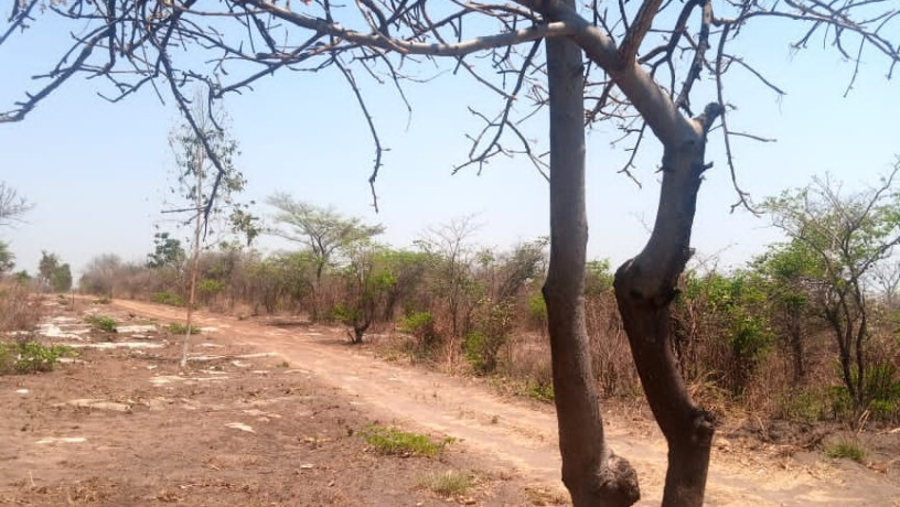 5-acres-plot-for-sale-in-lusaka-west-big-4