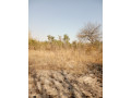 plot-for-sale-in-chaminuka-small-3