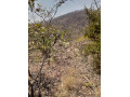 25-by-25-plot-for-sale-in-mikango-small-0