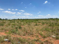 47-hectares-land-for-sale-in-lilayi-small-1