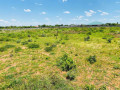 47-hectares-land-for-sale-in-lilayi-small-5