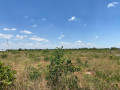 47-hectares-land-for-sale-in-lilayi-small-2