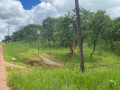 47-acres-land-for-sale-in-chalala-small-5