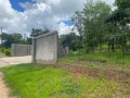 47-acres-land-for-sale-in-chalala-small-3