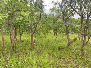 4.7 Acres Land For Sale in Chalala