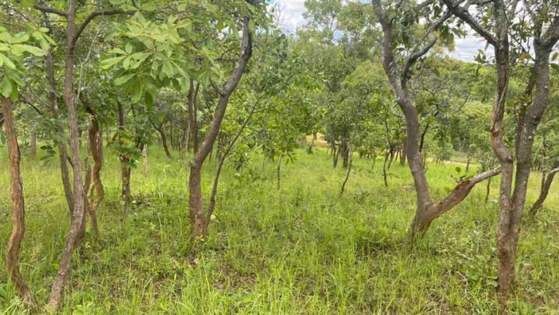 47-acres-land-for-sale-in-chalala-big-0