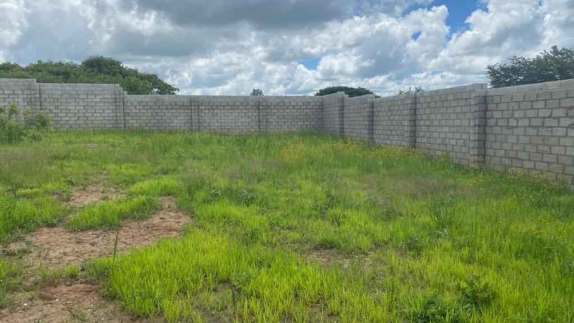 47-acres-land-for-sale-in-chalala-big-2