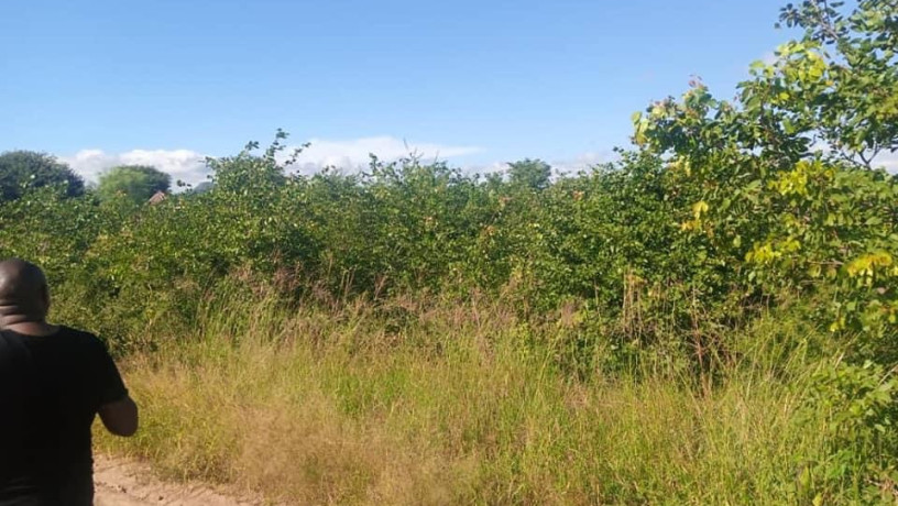 commercial-plot-for-sale-along-mazabuka-road-big-4