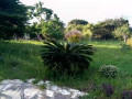 farm-house-for-sale-in-lusaka-west-small-8