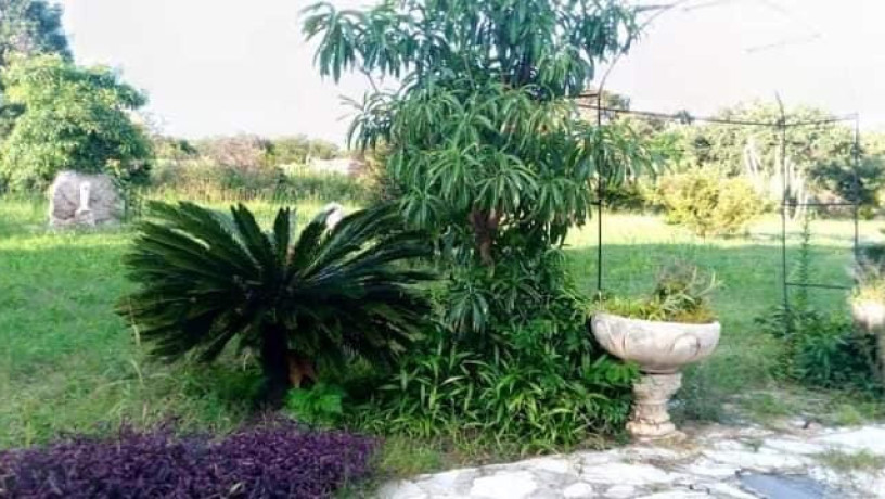 farm-house-for-sale-in-lusaka-west-big-6