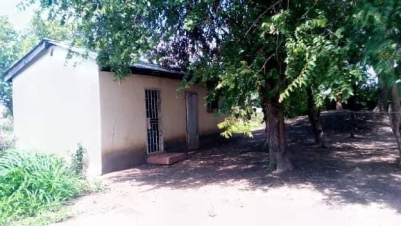 farm-house-for-sale-in-lusaka-west-big-5