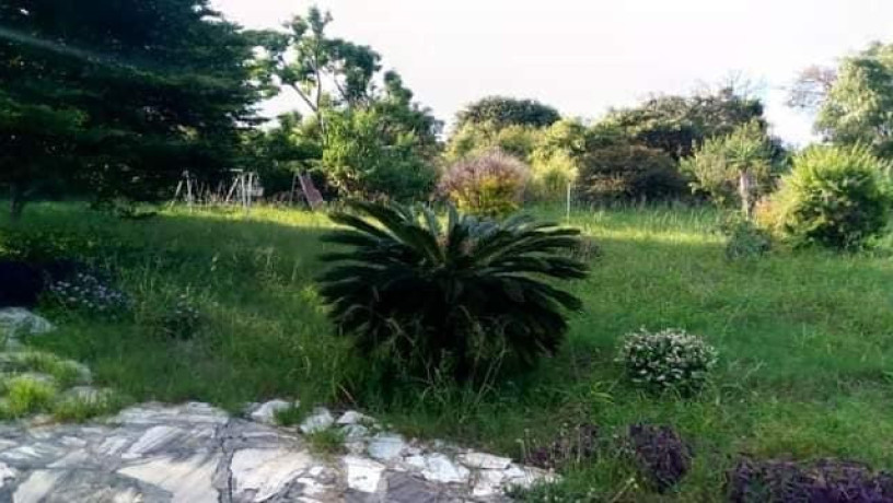 farm-house-for-sale-in-lusaka-west-big-8