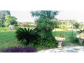 farm-house-for-sale-in-lusaka-west-small-6