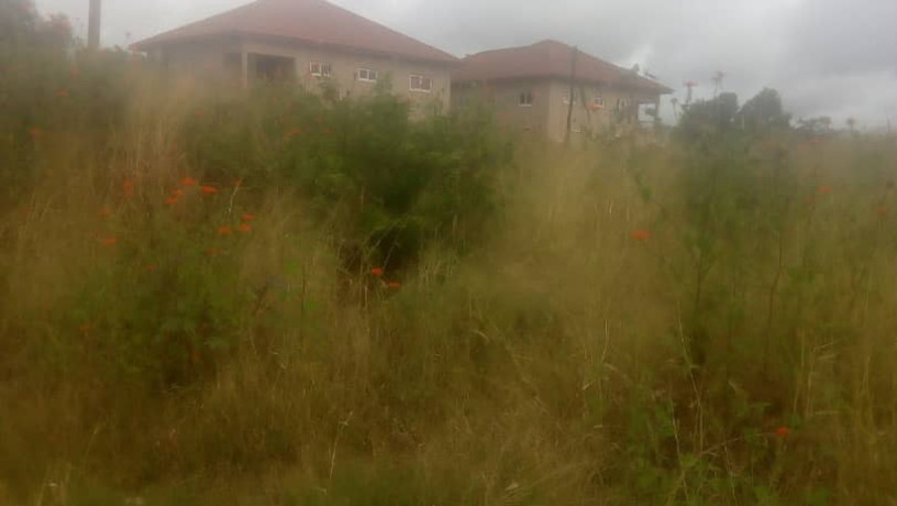 1-acre-land-for-sale-in-mass-media-big-3