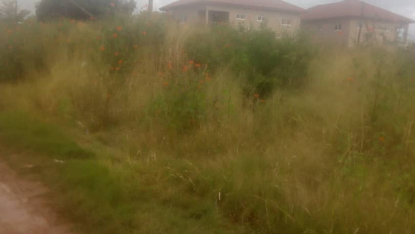 1-acre-land-for-sale-in-mass-media-big-1