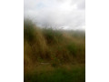 1-acre-land-for-sale-in-mass-media-small-0